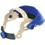 arnes_Singer forcecal